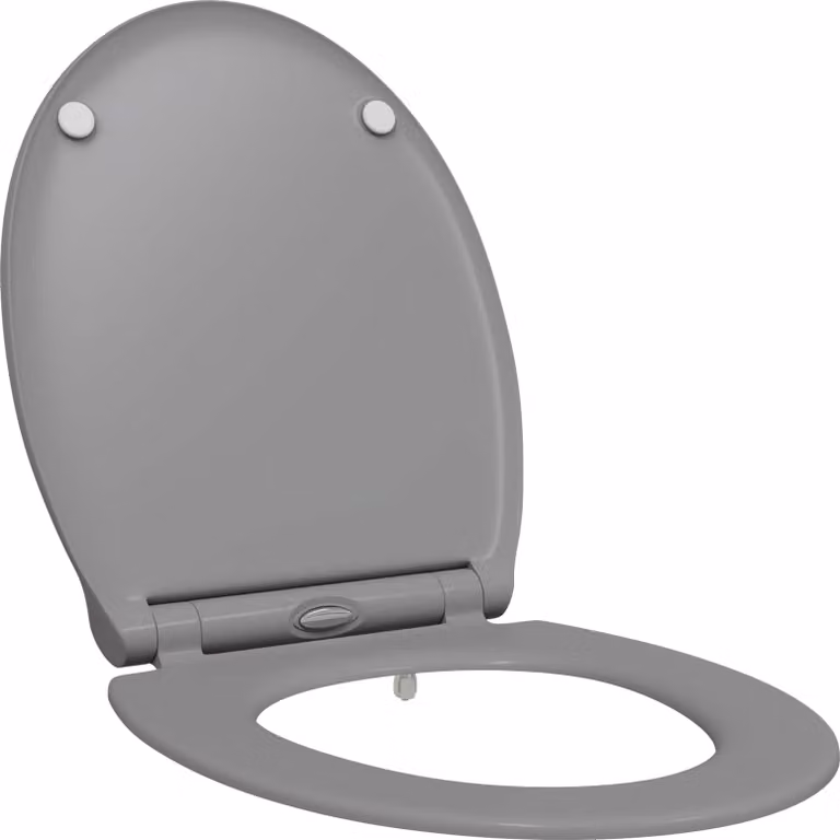 Sedile del WC Grigio 47 x 37,5 x 3,8 cm Duroplast