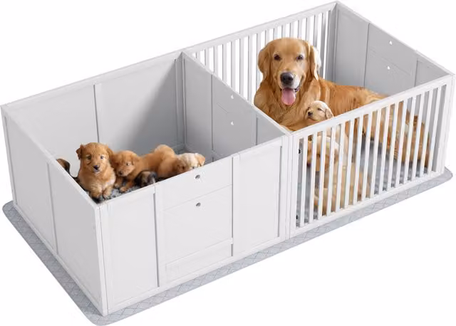 Cuccia per cani PawHut in legno con materassino, colore bianco, L 166 cm x P 80 cm x H 50 cm