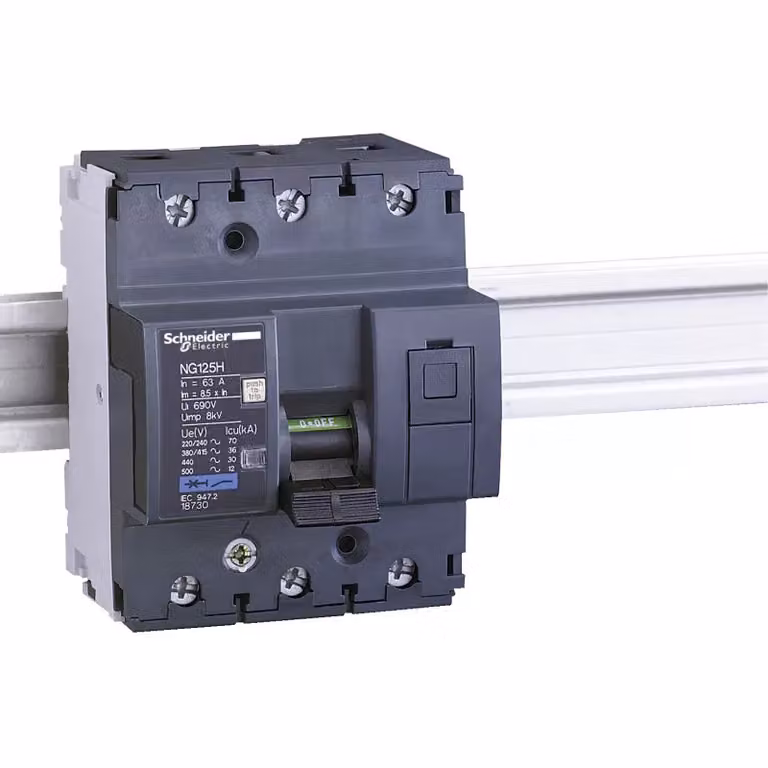 Interruttore automatico Schneider Electric 18730