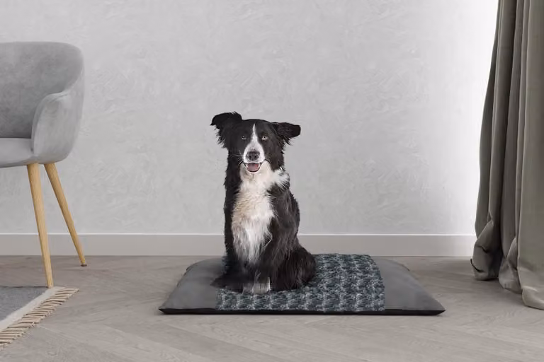 Biancheria da letto italiana ZOE, articolo per cani e gatti, cuscino, 88 x 69 cm