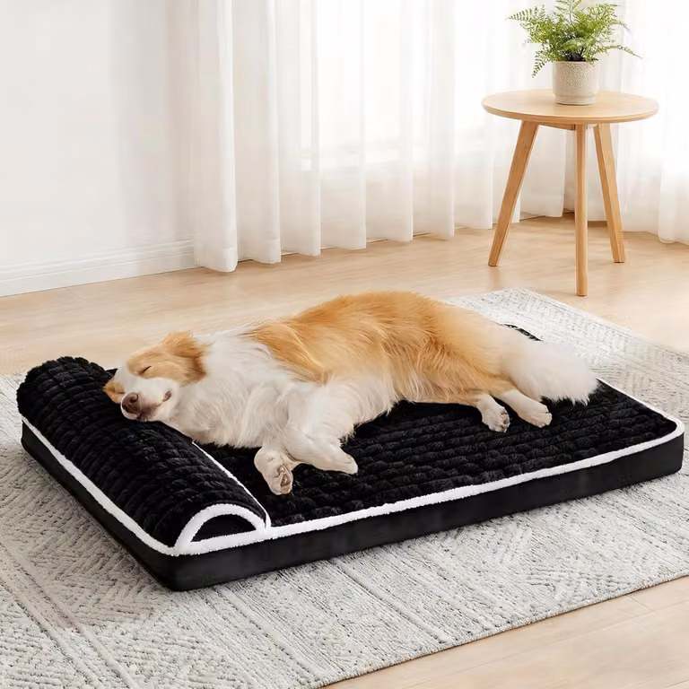 Cuccia ortopedica per cani con cuscino, 76x51 cm, colore nero, spessore 9 cm