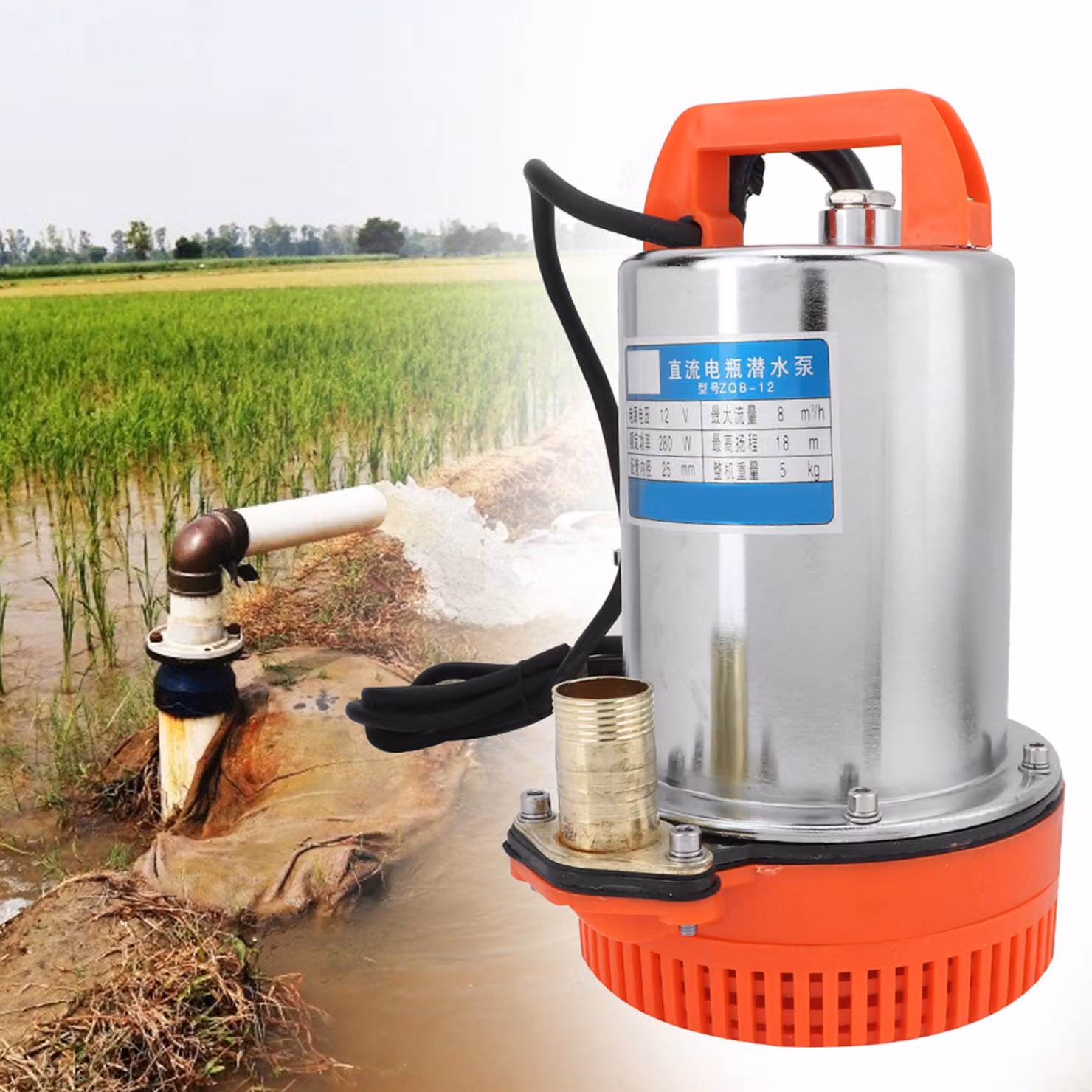 Pompa dell'acqua, pompa dell'acqua 12V, pompa 12V, pompa dell'acqua sommergibile, pompa dell'acqua di irrigazione, pompa dell'acqua del pozzo profondo 12V, pompa dell'acqua DC 12V