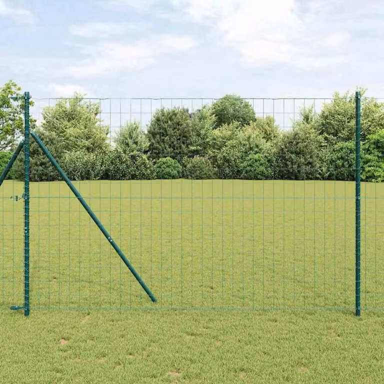 Maison Exclusive - Recinzione con Posto Verde 1,6 x 10 m Acciaio e PVC