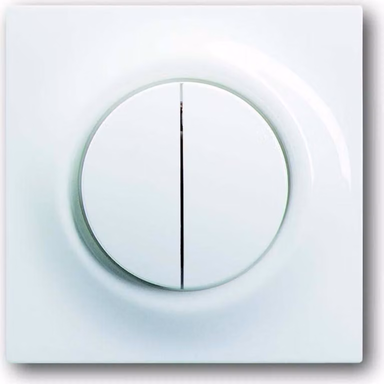 Busch-Jaeger Piastra centrale aws 1785-74 2CKA001753A4856