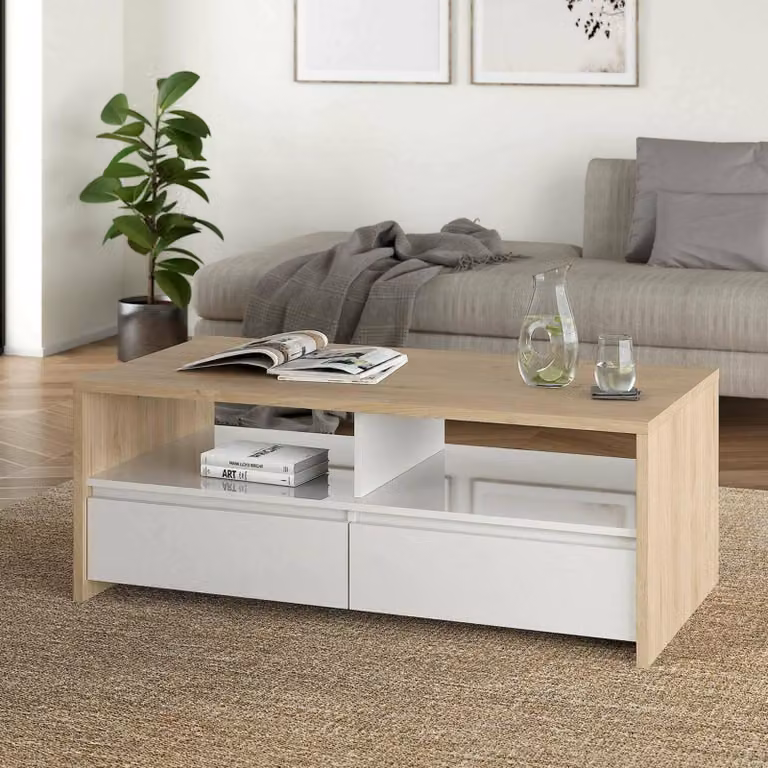 Dmora Tavolino da Salotto Shote 60.2x120.1x45.6h cm Bianco Lucido, 2 Vani 2 Cassetti