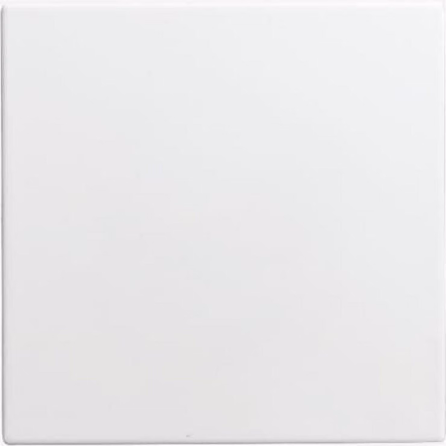 Busch-Jaeger piastra centrale cieca bianco alpino 1576 C-914