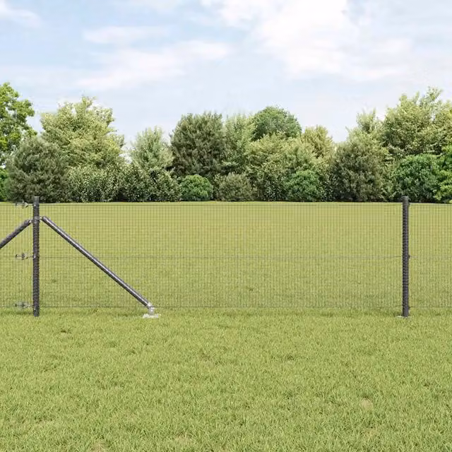 Recinzione in rete saldata con punte 100 x 0,8 m Grigio Rete 3352260