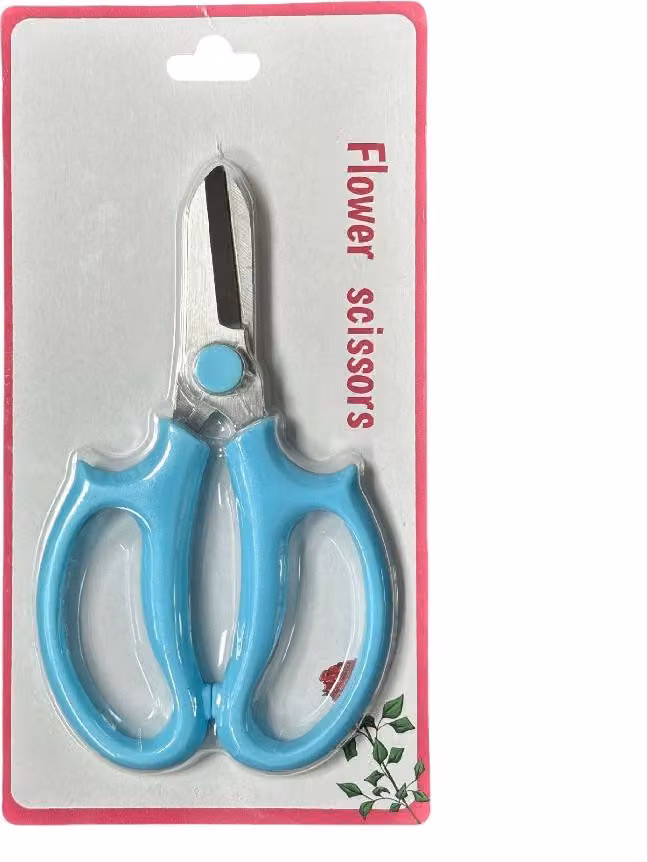 INF Forbici da fioraio rosa con coperchio colorato, in acciaio inox, 2 pezzi Blu