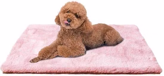 Cuccia per cani piccola 61x45 cm, rosa, lavabile, fondo antiscivolo