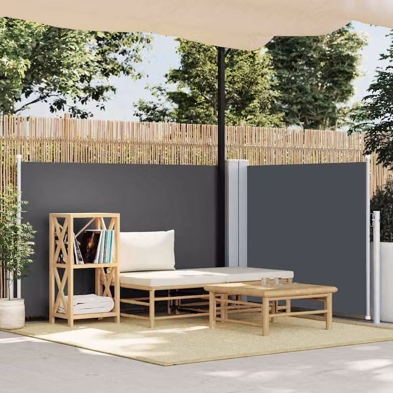 vidaXL Tenda da Sole Laterale Retrattile Antracite L: 600 cm, H: 120 cm
