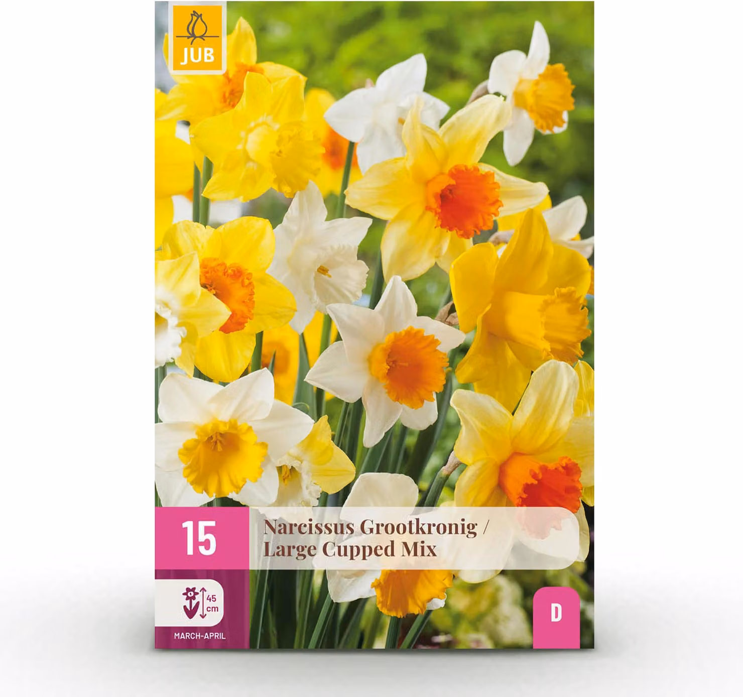 Bulbi da fiore - Narcissus 'Large Cupped mix' - Giallo e bianco - 15 piante - Bulbo di dimensione 12/14 - 15-30cm - Ø5cm - Pianta da giardino - Multideal