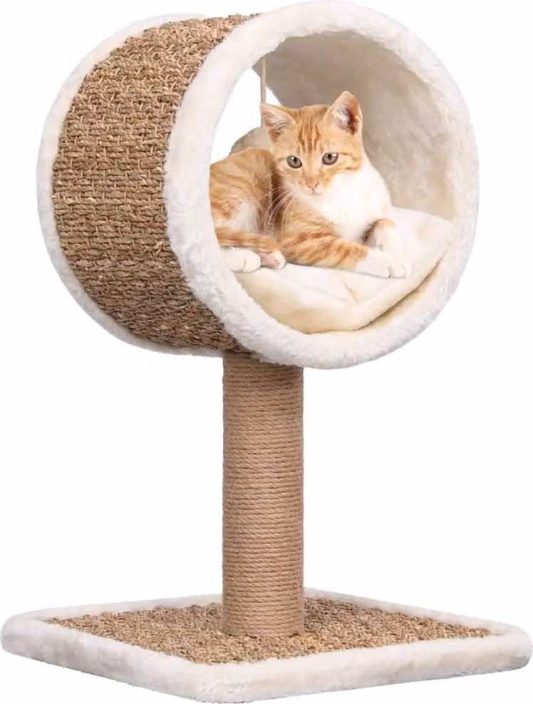 The Living Store Tiragraffi per gatti con tunnel e giocattolo 56 cm in erba di mare