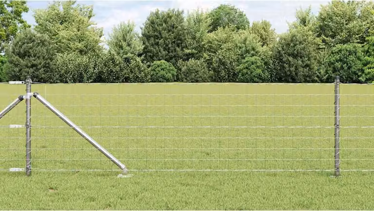 Recinzione in rete saldata con punte 10 x 0,6 m (L x H)