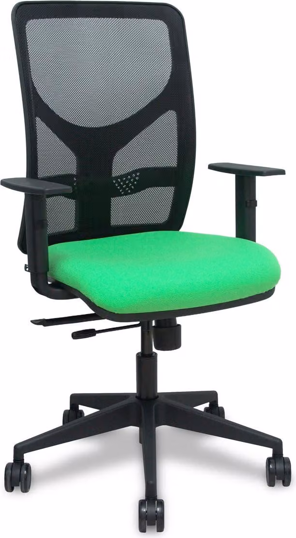 Bürostuhl Piqueras y Crespo 10CRN65 Pistazienfarben