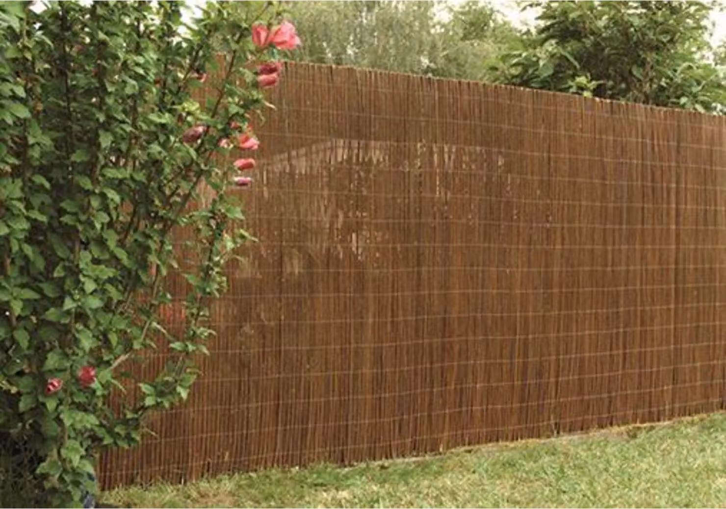 floraworld Schermo protettivo in salice 300 x 150 cm classic