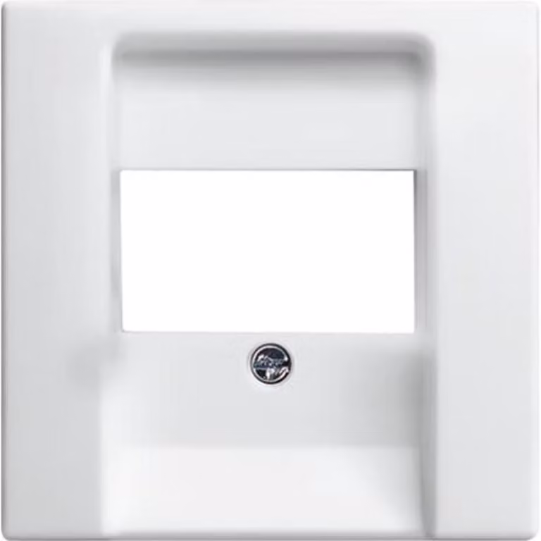 Busch-Jaeger 2539-914Coperchio del disco centrale per TAE/UAE Balance SI bianco alpino