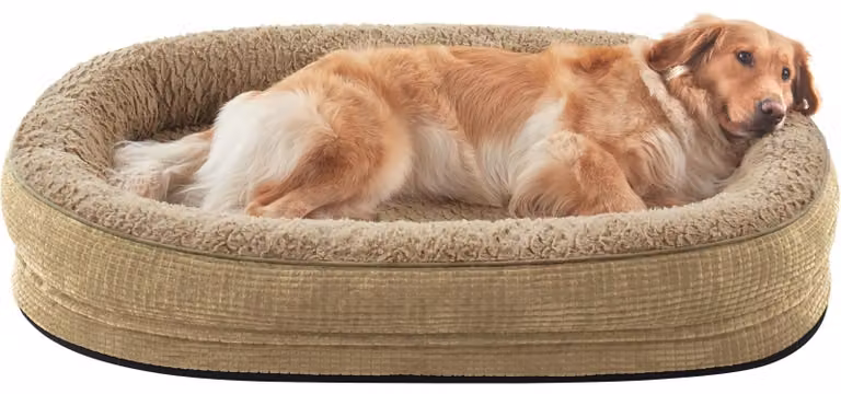 Cuccia ortopedica per cani, taglia XL, lavabile e traspirante