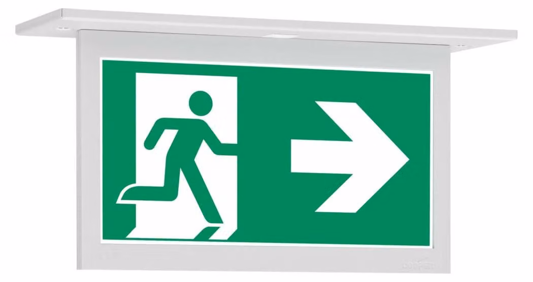 Sistemi di illuminazione di emergenza Ceag Luce a LED a batteria singola 10824 1-8/D CGLine+ 40071353267