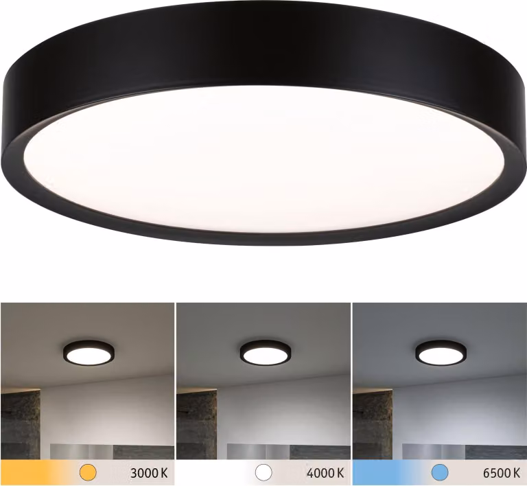 Lampada a soffitto LED per bagno Paulmann Selection, modello Tega