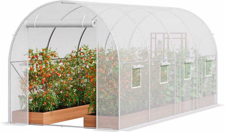 Serra Tunnel Serra fredda Casa del pomodoro 445x194x192cm bianco