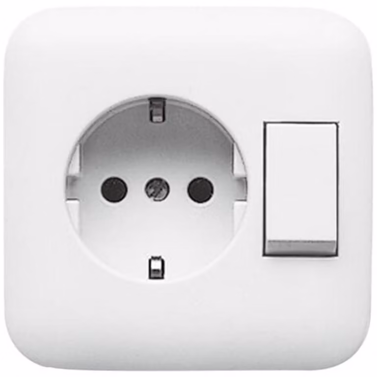 Combinazione Busch-Jaeger presa a spina + interruttore 4310/6 EUJ-214