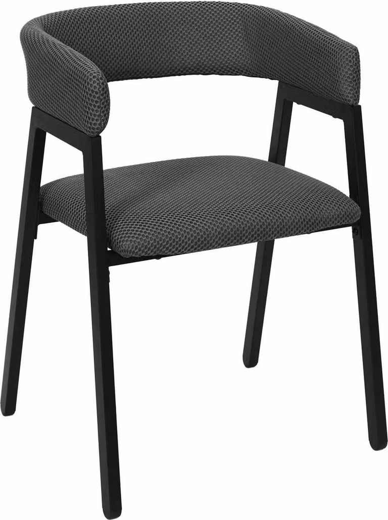 HowHomely | Sedia imbottita con braccioli - nero - 74x50x50cm - Sedia da pranzo con gambe in metallo
