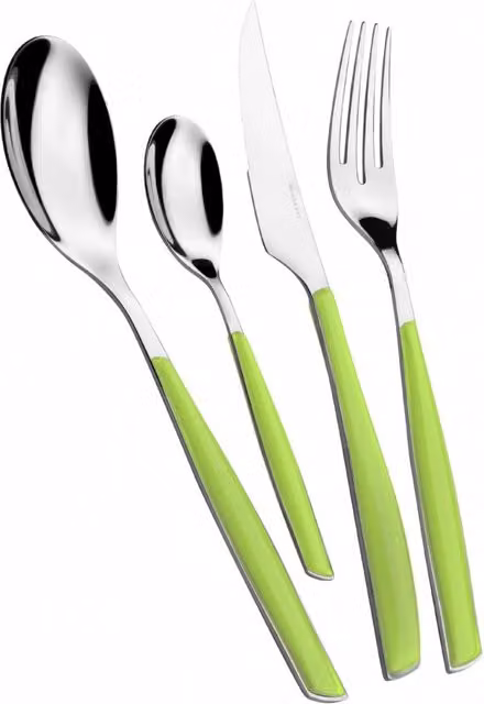 Set di posate Glamour Casa Bugatti 24 pezzi in acciaio inox rivestito verde mela con custodia window
