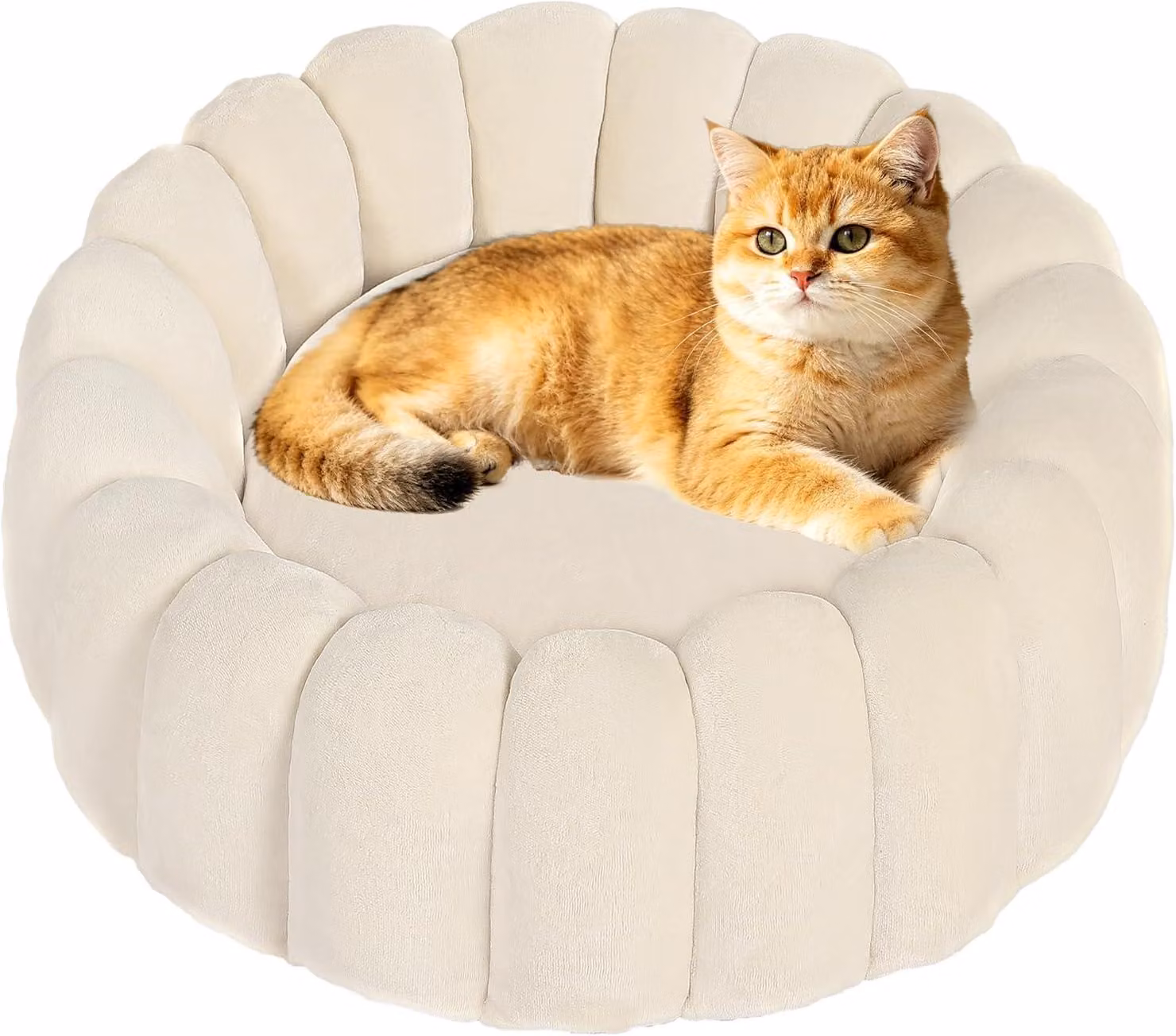 Cuccia per cani, 50 cm, beige, lavabile, antiscivolo, resistente allo sporco, adatta ai cani