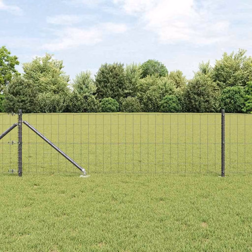 Maison Exclusive - Recinzione con Posto Grigio 0,6 x 10 m Acciaio e PVC