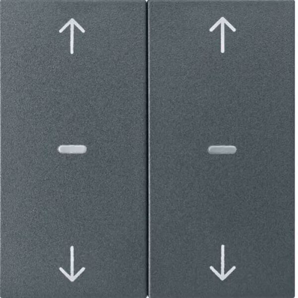 Berker KNX S.1 ABD.2F.ANTHRAZIT MATT (80961385)