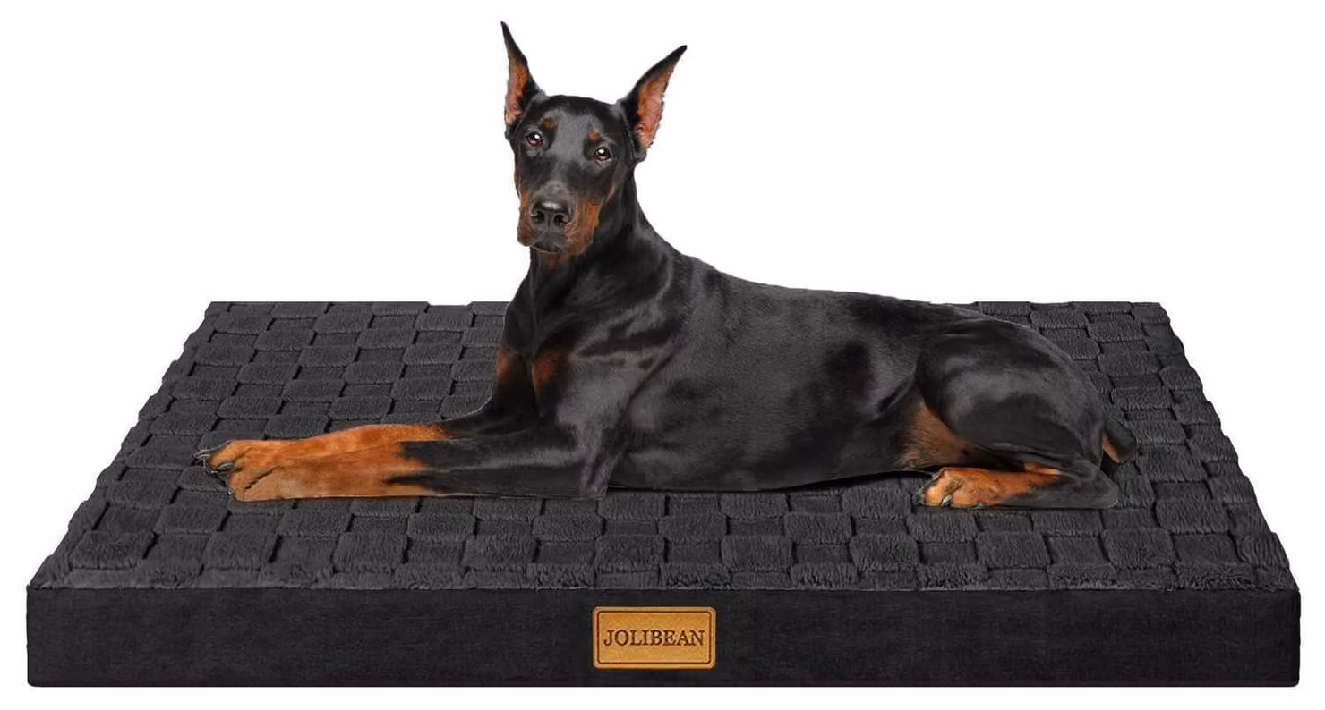 Cuccia ortopedica per cani, modello Jumbo, dimensioni 142x101 cm, colore nero