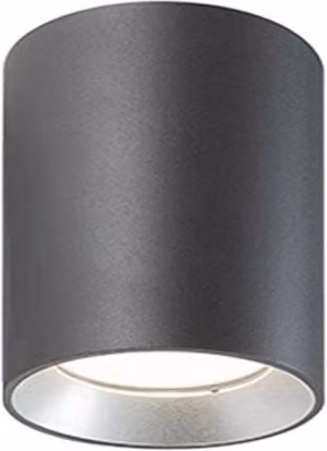 Show - Plafoniera Cilindrica Da Soffitto A Led 40W A Luce Fredda Colore Grigio
