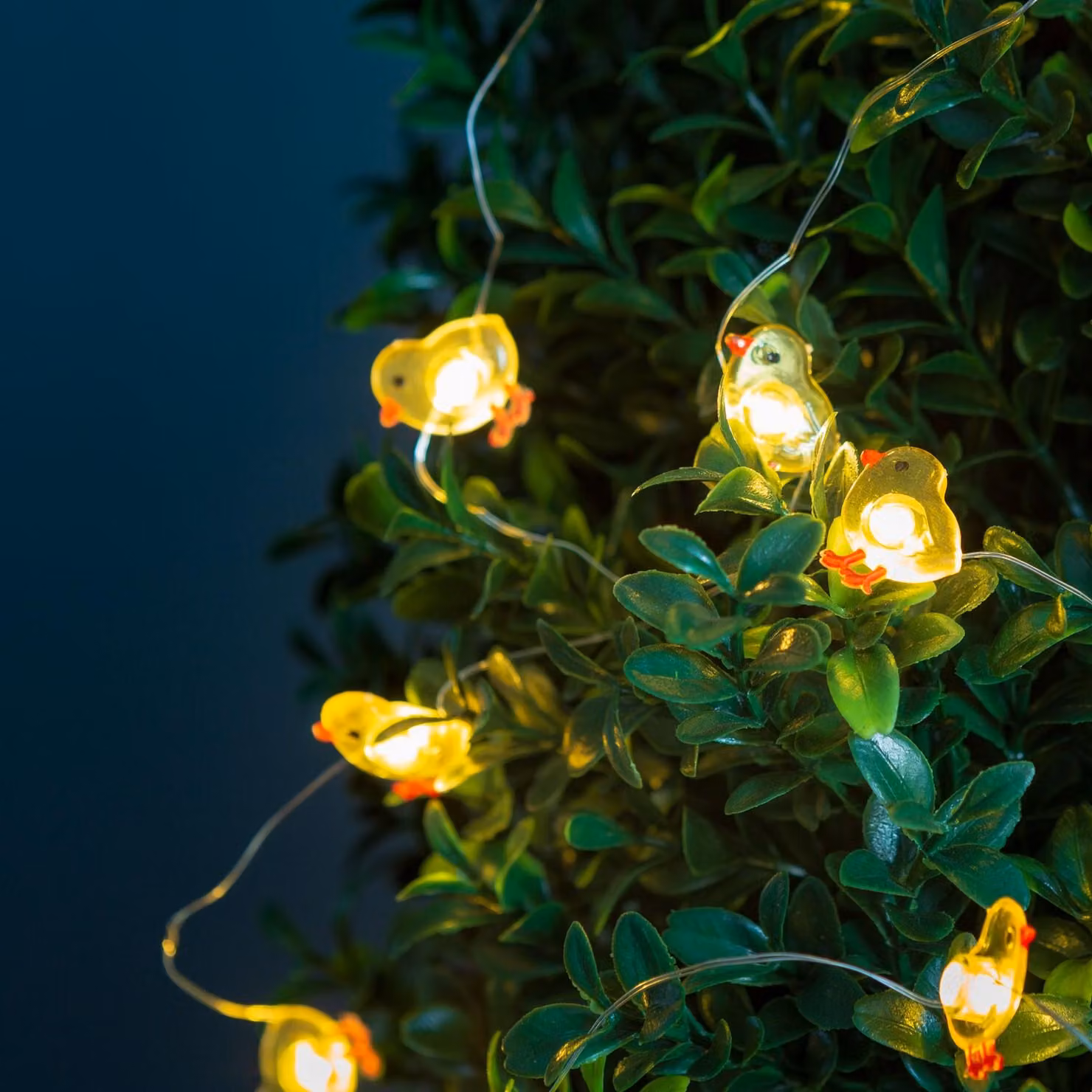 Catena luminosa a LED a forma di pulcino, lunghezza 2 metri, 20 LED