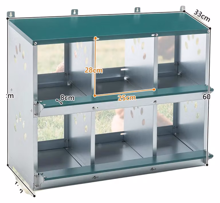 Contenitori per uova, 6 scomparti, con raccoglitore estraibile per le uova, 6 fori