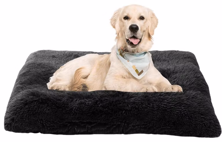 Materassino per cani, lettino per gatti, divanetto per cani, cuscino per cani, cuccia per cani, tappetino per cani, lavabile, 70x50x8 cm, nero