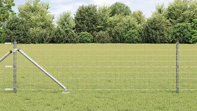 Recinzione Euro da Esterno con Punte 50 x 0,4 m Acciaio zincato 3350799