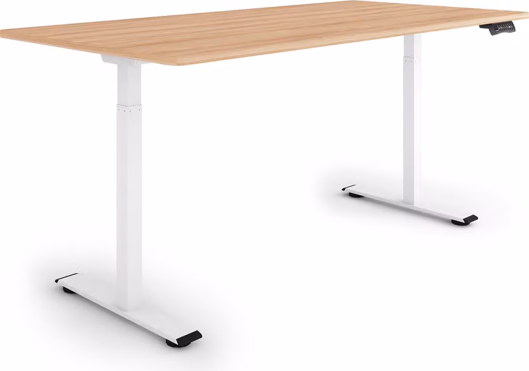 ESMART ERX-122WM 160x80cm Decorazione acero Scrivania ergonomica in piedi/seduta Regolabile elettricamente in altezza in modo continuo 73,5-122,5 cm 3 x memoria Ricordo attività Montaggio rapido