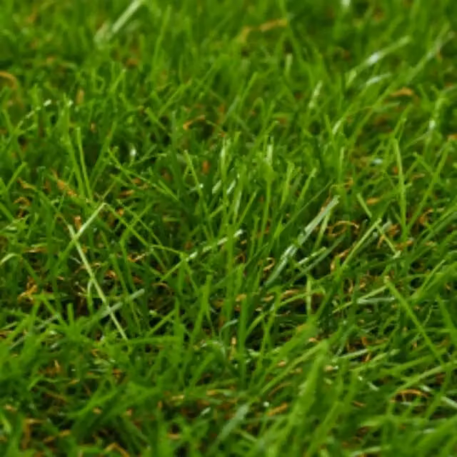 Erba Artificiale 1x15 m/40 mm Verde 148832