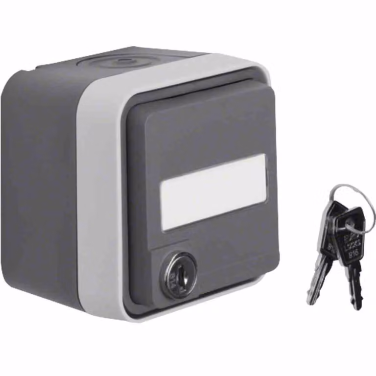 Presa di corrente Berker SCHUKO grigio chiaro 47393505
