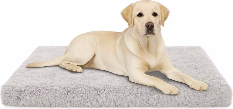 Lettino per cani di taglia grande, cuscino lavabile per cani soffice 120x80x7cm - BIANCO