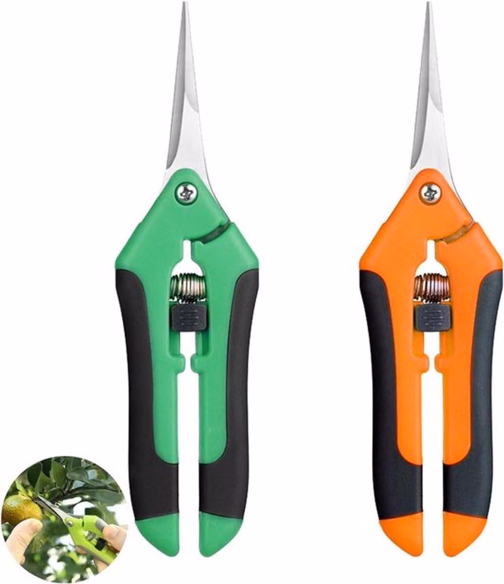 Set di forbici per potatura di piante e bonsai, con taglierina per germogli in acciaio inossidabile e impugnatura antiscivolo, composto da 2 pezzi, uno verde e uno arancione.