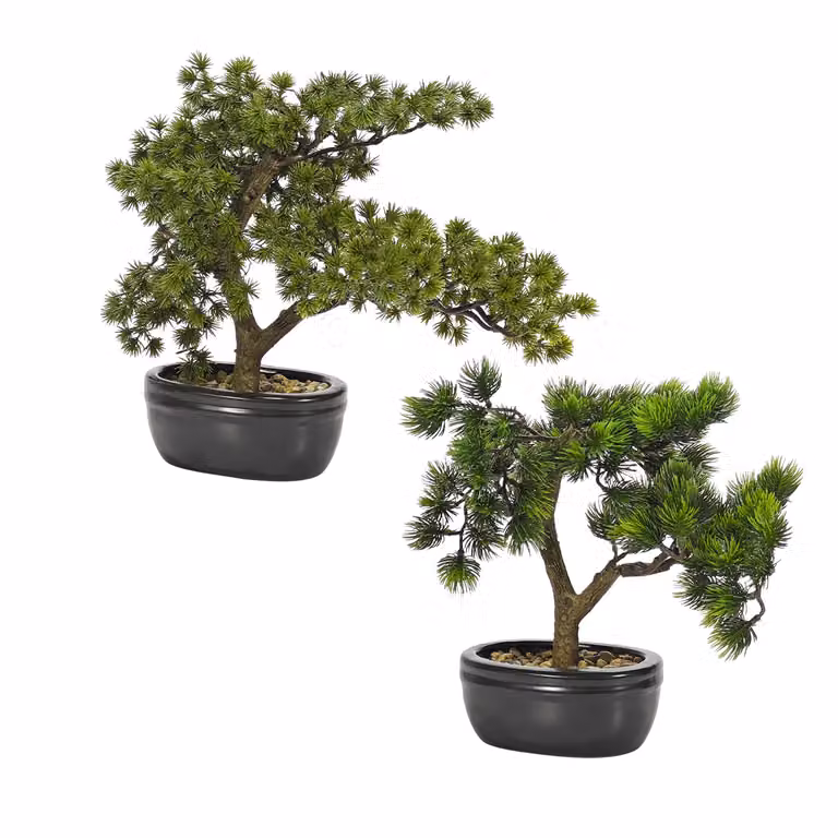VESTIAMO CASA Bonsai di Pino Artificiale Verde in Vaso, H 30 x L 15 x P 10 cm