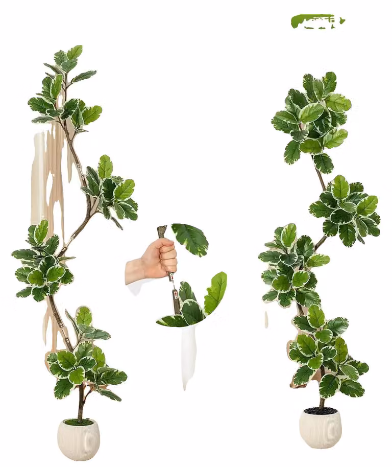 Ficus artificiale, design realistico, facile da curare, altezza 210 cm