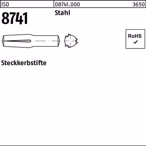 Spine Reyher ISO 8741 acciaio 6 x 16 087410000060016 (100 pezzi)