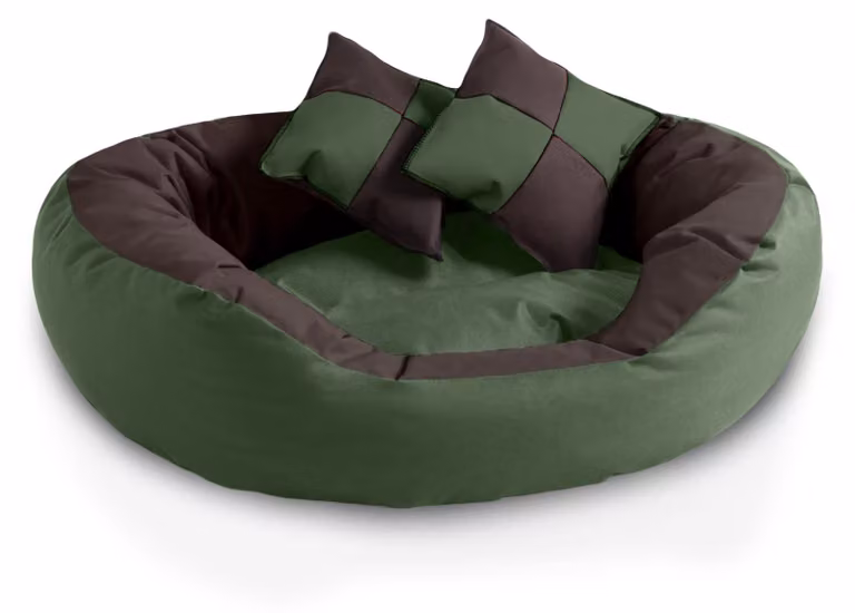 BedDog 4in1: cuccia per cani SABA, grande, lavabile, cuscino per cani, MYSTIC (marrone/verde), L