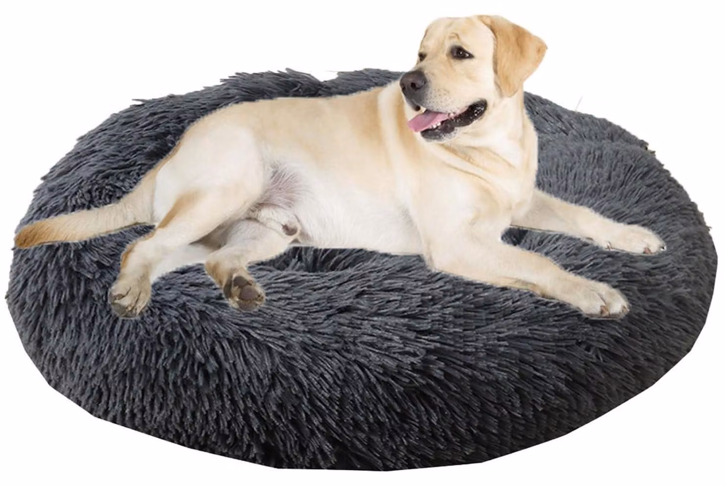 Cuccia per cani, cuccia per gatti, forma a ciambella, rotonda, diametro 100 cm, grigio scuro, lavabile, morbida e soffice