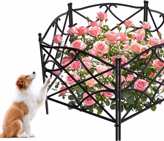 Decorativa Recinzione Metallica per Giardino con Filo di Legno - 24in x 10ft