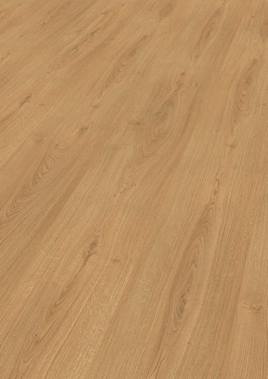 EGGER Home Pavimento laminato EHL067 Rovere Widford