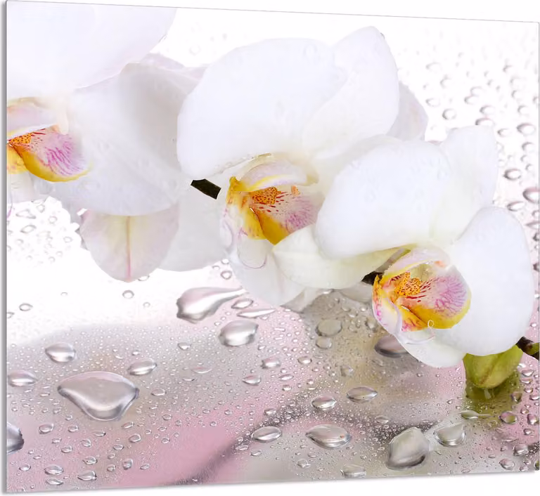 PIATTO DI VETRO PER CUCINA 65x60 Orchidea