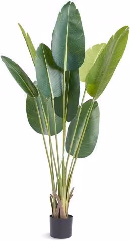 VEVOR Albero Artificiale Palma Uccello del Paradiso Verde con Vaso, Altezza: 152,4 cm